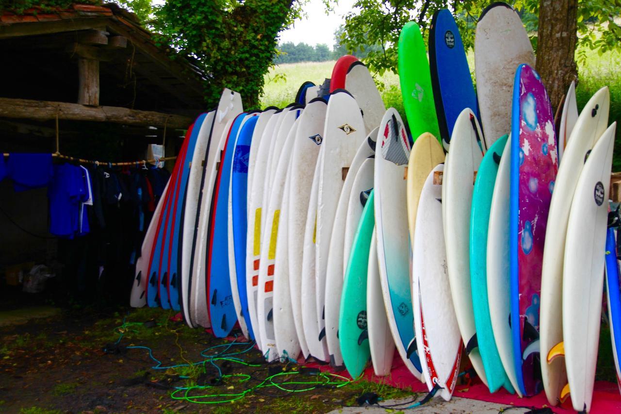Surf Camp San Sebastian Partyhostel Aia Extérieur photo